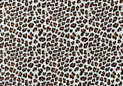 Leopard Spots Background Leopard Spots Texture For Background Copyright: x... Stock Photos