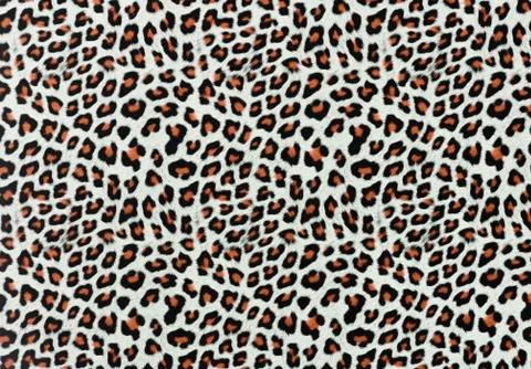 Leopard spots background Stock Photos