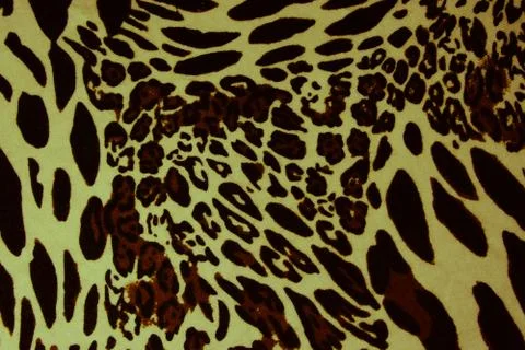 Leopard spots background Stock Photos