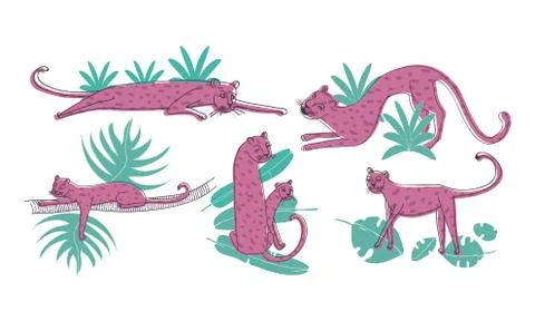 Leopard Standing and Lying on Palm Leaves Vector Set. Stylized Funny African Stock Illustration