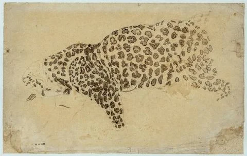 Leopard study Antoine-Louis Barye (1796-1875). Leopard study. Mine of lead... 写真素材