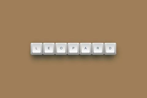 Leopard text on a 3d keyboard button with shadow concept series 库存插图