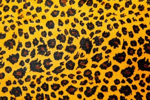 Leopard texture Detailed pattern of leopard animal print texture Copyright... Stock Photos