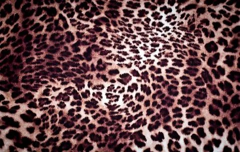 Leopard texture Stock-Fotos