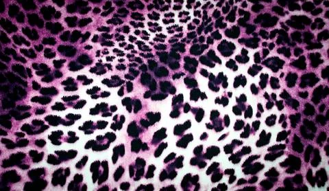 Leopard texture Stock Photos