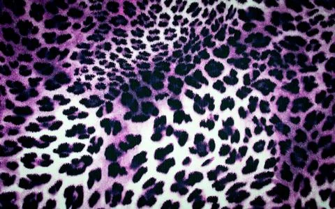 Leopard texture Stock Photos