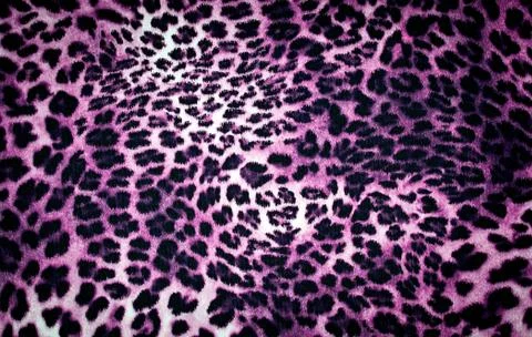 Leopard texture Stock Photos