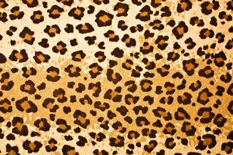 Leopard textured background leopard textured background Copyright: xZoonar... Stock Photos