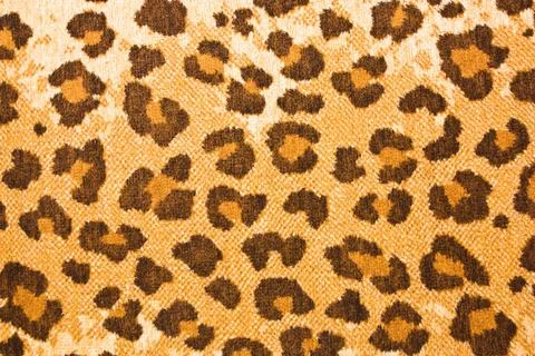 Leopard textured background leopard textured background Copyright: xZoonar... Stock Photos