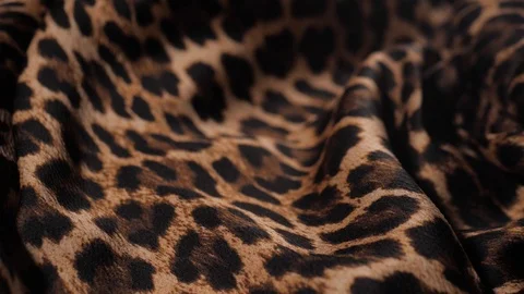 Leopard tiger Print Pattern Fabric Close up textile macro extreme Stock Footage 101662959