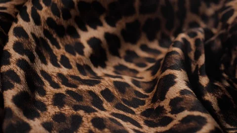 Leopard tiger Print Pattern Fabric Close up textile macro extreme Stock Footage 101663214
