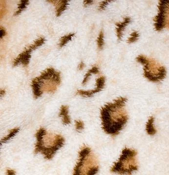 Leopard tiger skin texture background Stock Photos