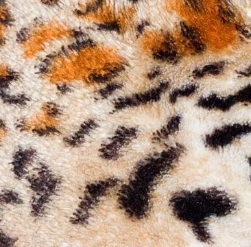 Leopard tiger skin texture background Stock Photos