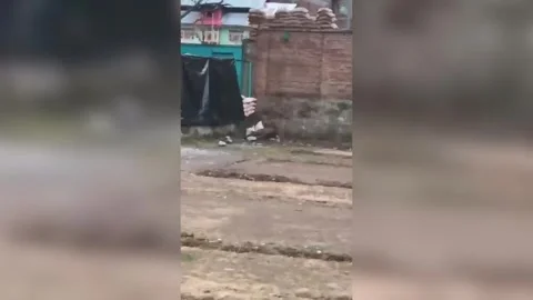 Leopard triggers panic inside army camp, injuring one during breakfast ho... Stock Footage 324849498