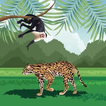 Leopard tropical monkey hanging branch tree fauna and flora landscape Stock Illustration