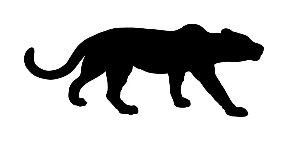 Leopard vector silhouette isolated on white Stock Illustration
