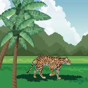 Leopard walking grass palms tree tropical fauna and flora landscape Stock Illustration