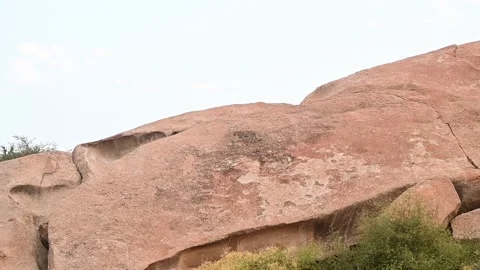Leopard walking on a huge boulder in Jawai national park Stock Footage 289843541