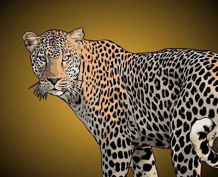 Leopard walking side view vector template Stock Illustration