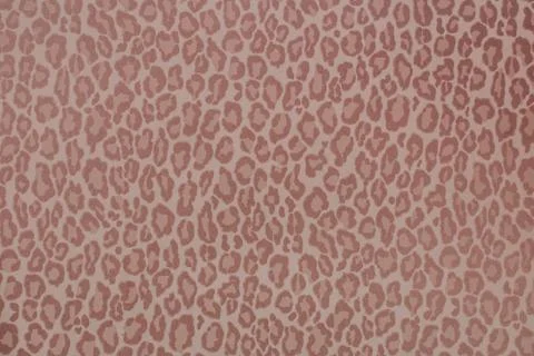 Leopard wild animal pattern background or texture, wallpaper concept colorful Stock Photos