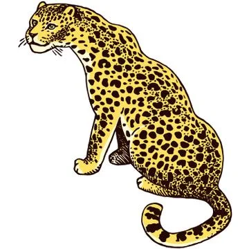 Leopard Wild Cat 스톡 일러스트