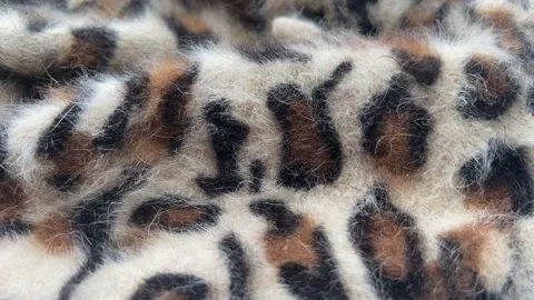 Leopard Wool Fabric Slider Shot Stock Footage 243982091