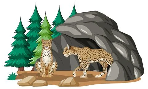 Leopards in a Forest Habitat Stock Illustration