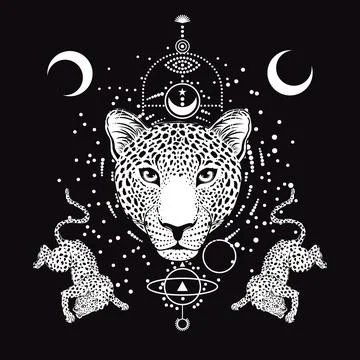Leopards Stock Illustration