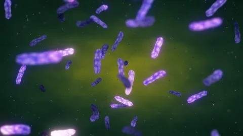 Leprosy bacteria Stock Footage 321895156