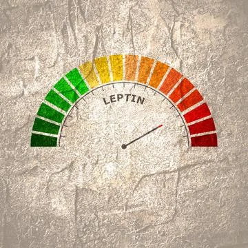 Leptin bad level on measure scale. Instrument scale with arrow. Colorful Stock Illustration