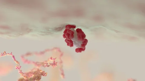 Leptin Molecular Stock Footage 102852883