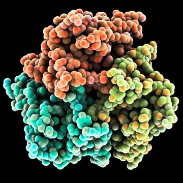Leptin, molecular model Stock Illustration