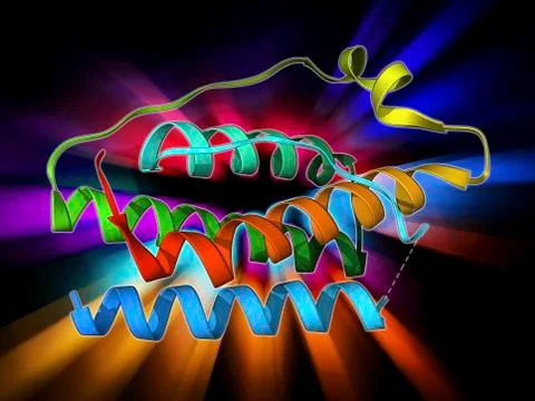 Leptin molecule Stock Illustration
