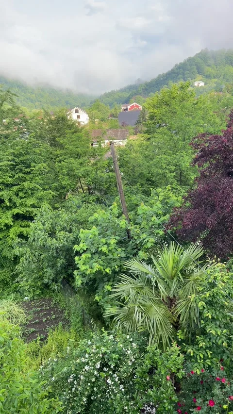 Lerik Stock Footage 330169609