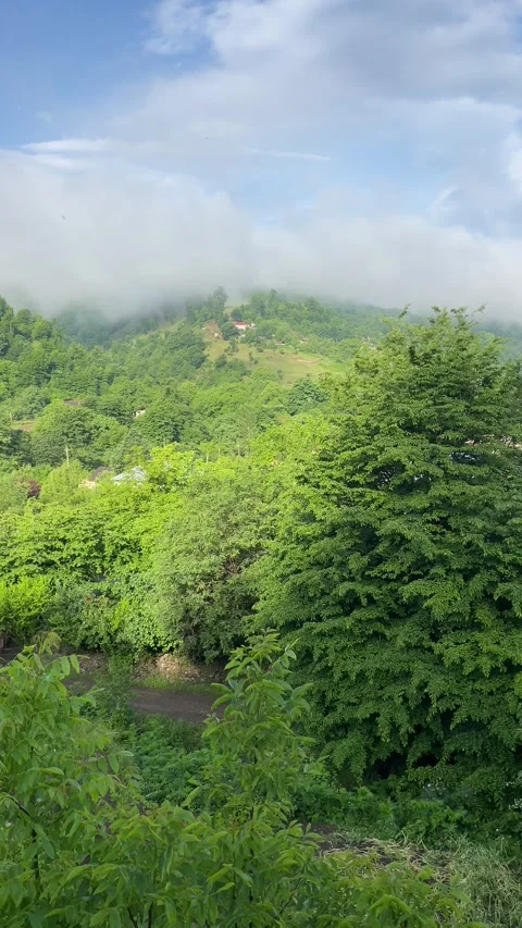 Lerik Stock Footage 330169615