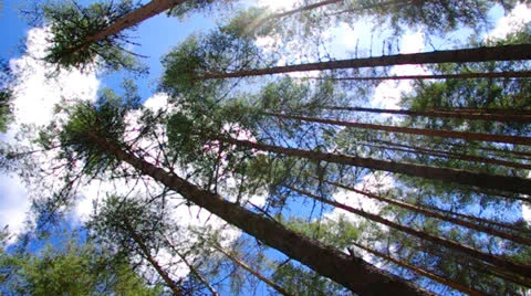 Les- 22 Stock Footage 23359473