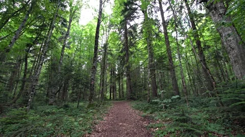 Les Stock Footage 150483857