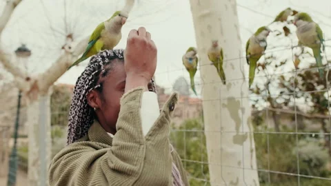 Lesbian Couple Having Fun With Parrots Outdoors Video stock 314266692