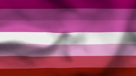 Lesbian Pride Flag Variant Textured Background Stock Footage 336182697