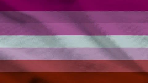 Lesbian Pride Flag Variant Textured Background Stockillustratie