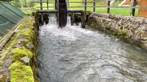 Lesen mlin Video stock 137778453