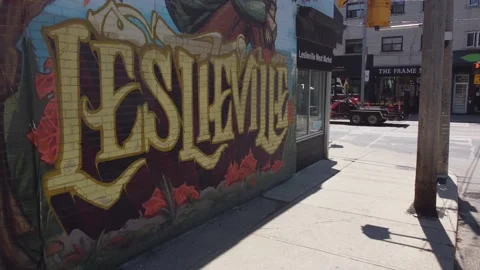 Leslieville mural Stock Footage 199334882