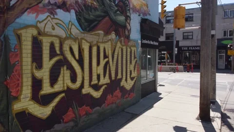 Leslieville mural 库存影片 199336927
