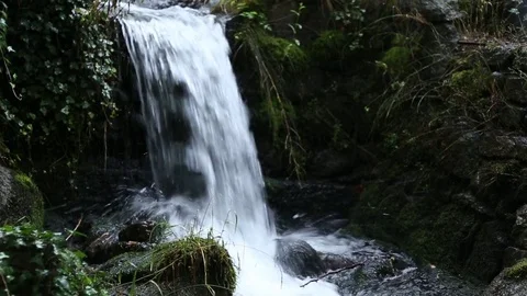 Less water tracking at the waterfall Vídeo Stock 76230369