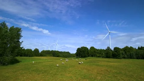 Less yellow Stock Footage 245175359