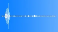 Lesser Bird of ParadiseSound Effect