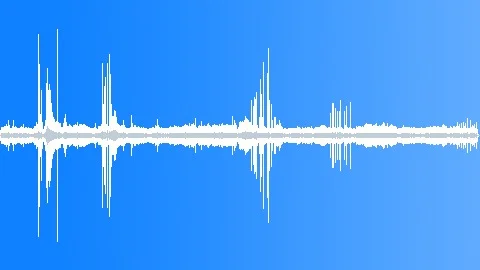 Lesser BlackBacked Gull Colony Sound Effect