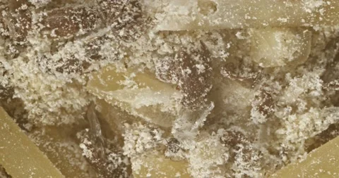 Lesser Grain Beetle, pan from larva to contaminated  food wide Stock Footage 141155190