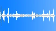 Lesser Spotted Woodpecker HungerSound Effect