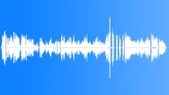 Lesser Spotted Woodpecker HungerSound Effect